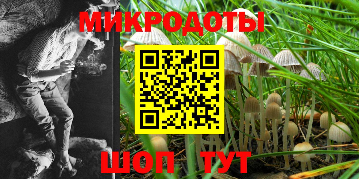 Анапа  Галлюциногенные грибы мицелий  Вход с VPN  Псилоцибиновые грибы GOLDEN TEACHER 